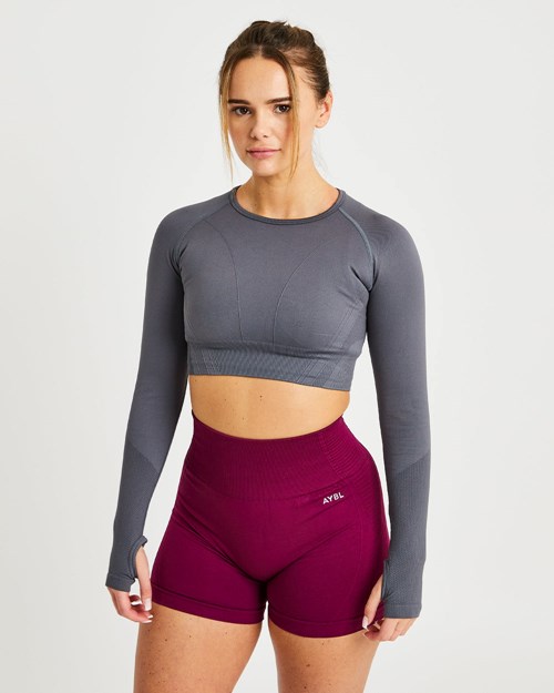 AYBL Balance V2 Seamless Long Sleeve Crop Top Grå | HCLYMJ-985