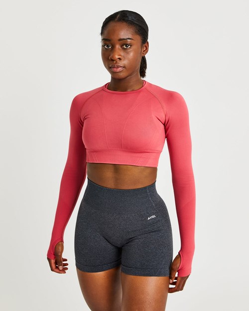 AYBL Balance V2 Seamless Long Sleeve Crop Top Rosa | ZIOVJG-483