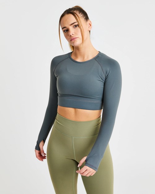AYBL Core Long Sleeve Crop Top Grå | YIESQV-861