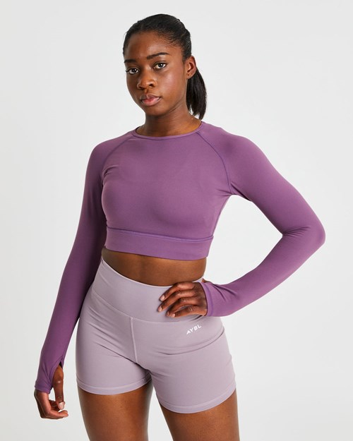 AYBL Core Long Sleeve Crop Top Lilla | IQXDKZ-802