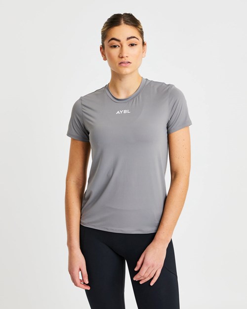 AYBL Core T Shirt Grå | BFODZE-156