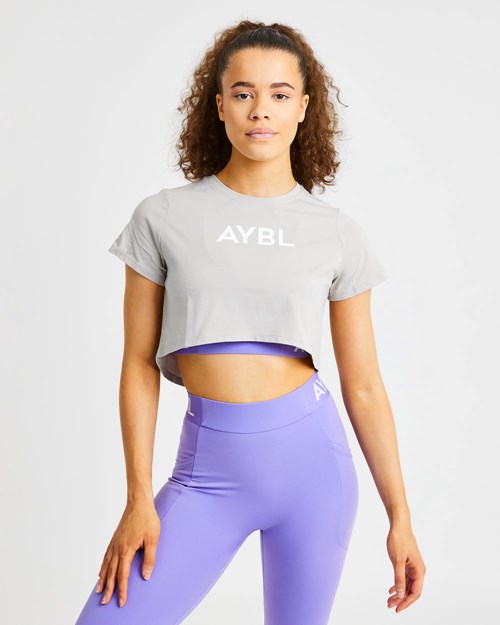 AYBL Crop T Shirt Grå | FWUPMS-581