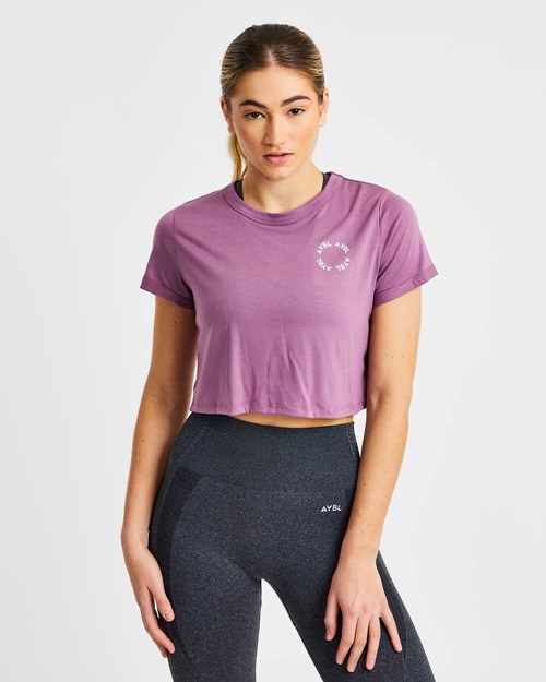 AYBL Element Crop Top Lilla | RALDGI-876