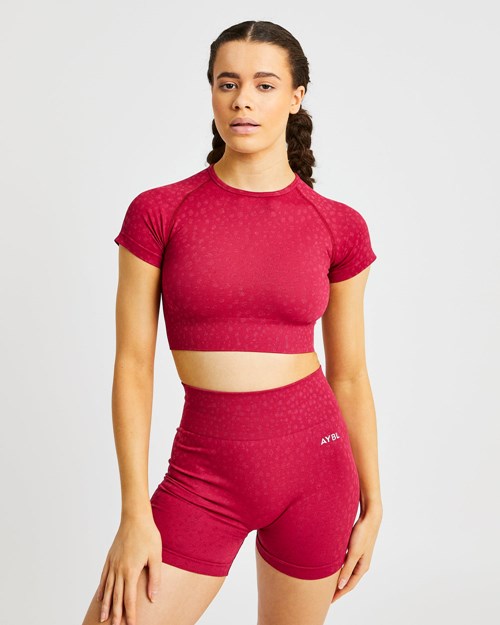 AYBL Evolve Speckle Seamless Crop Top Raspberry | ZSAYVF-247