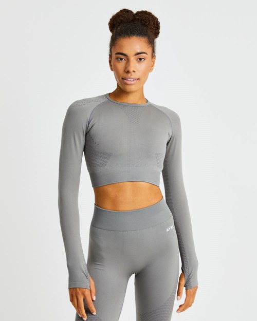 AYBL Ignite Seamless Long Sleeve Crop Top Grå | TJPDIF-982
