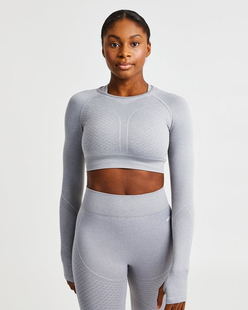 AYBL Impact Seamless Long Sleeve Crop Top Grå | BTLJSU-324