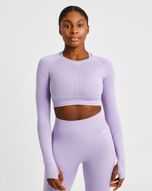 AYBL Impact Seamless Long Sleeve Crop Top Lilac | QPGORD-763