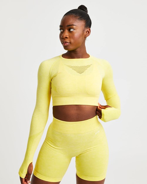 AYBL Motion Seamless Long Sleeve Crop Top Gul | GWNTZM-845