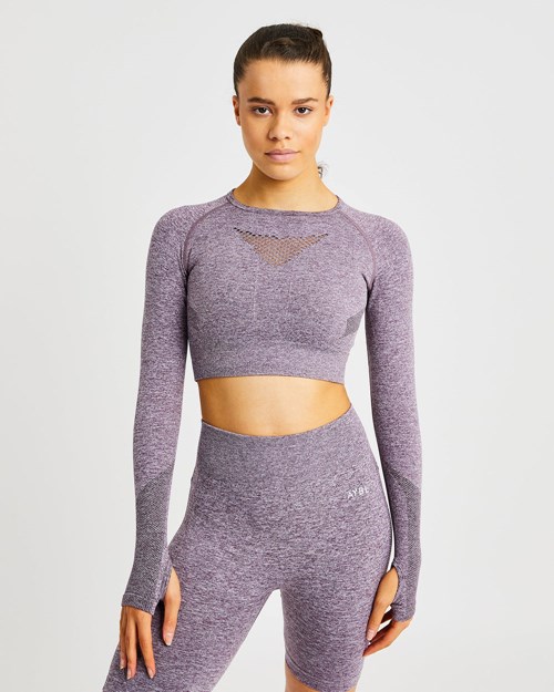 AYBL Motion Seamless Long Sleeve Crop Top Lilla | XRJSNK-923