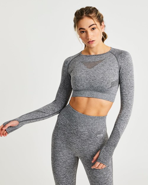 AYBL Motion Seamless Long Sleeve Crop Top Grå | ZNCRWK-490