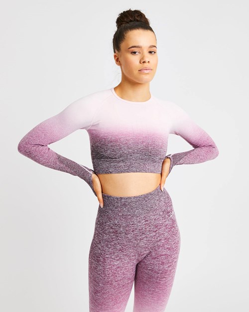 AYBL Pulse Ombré Seamless Long Sleeve Crop Top Plum | RSPJIF-874