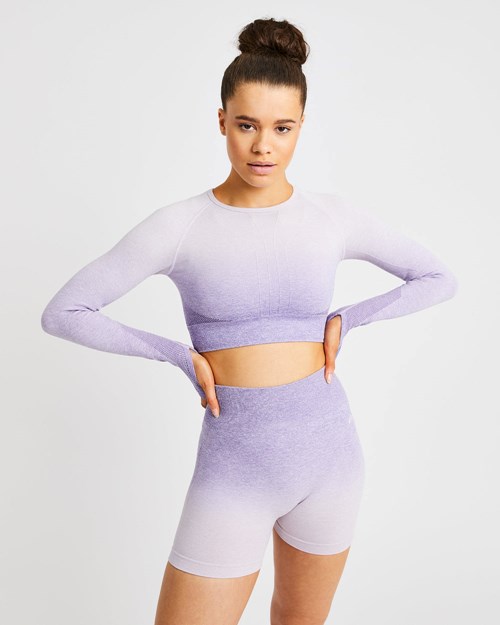 AYBL Pulse Ombré Seamless Long Sleeve Crop Top Lilac | UQBGXV-531