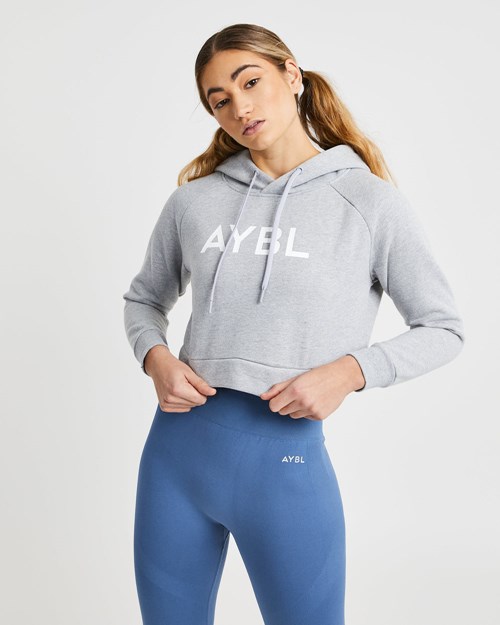 AYBL Staple Crop Hoodie Lyse Grå | KCDFIB-260