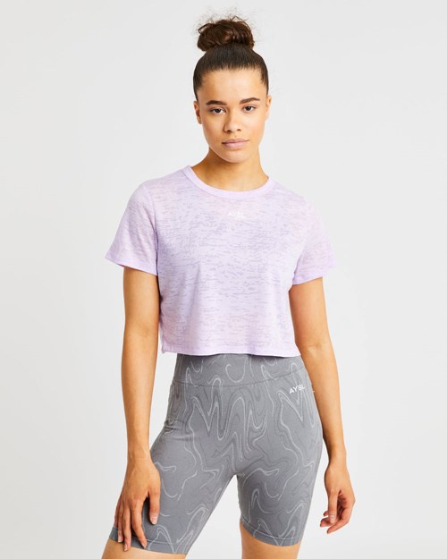 AYBL Velocity Crop T Shirt Lilac | VFMUQL-094