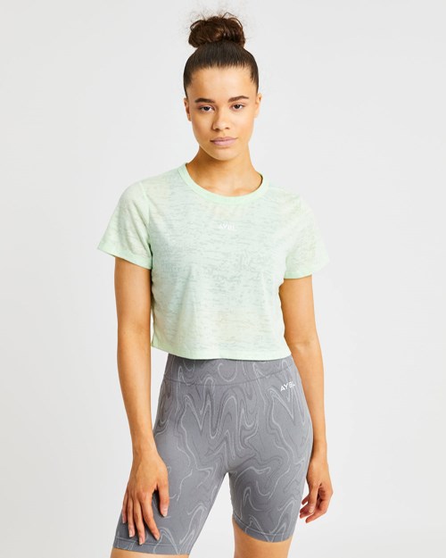 AYBL Velocity Crop T Shirt Mint | DIYLMF-392